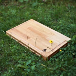 ein Holzschneidebrett liegt auf grünem Gras